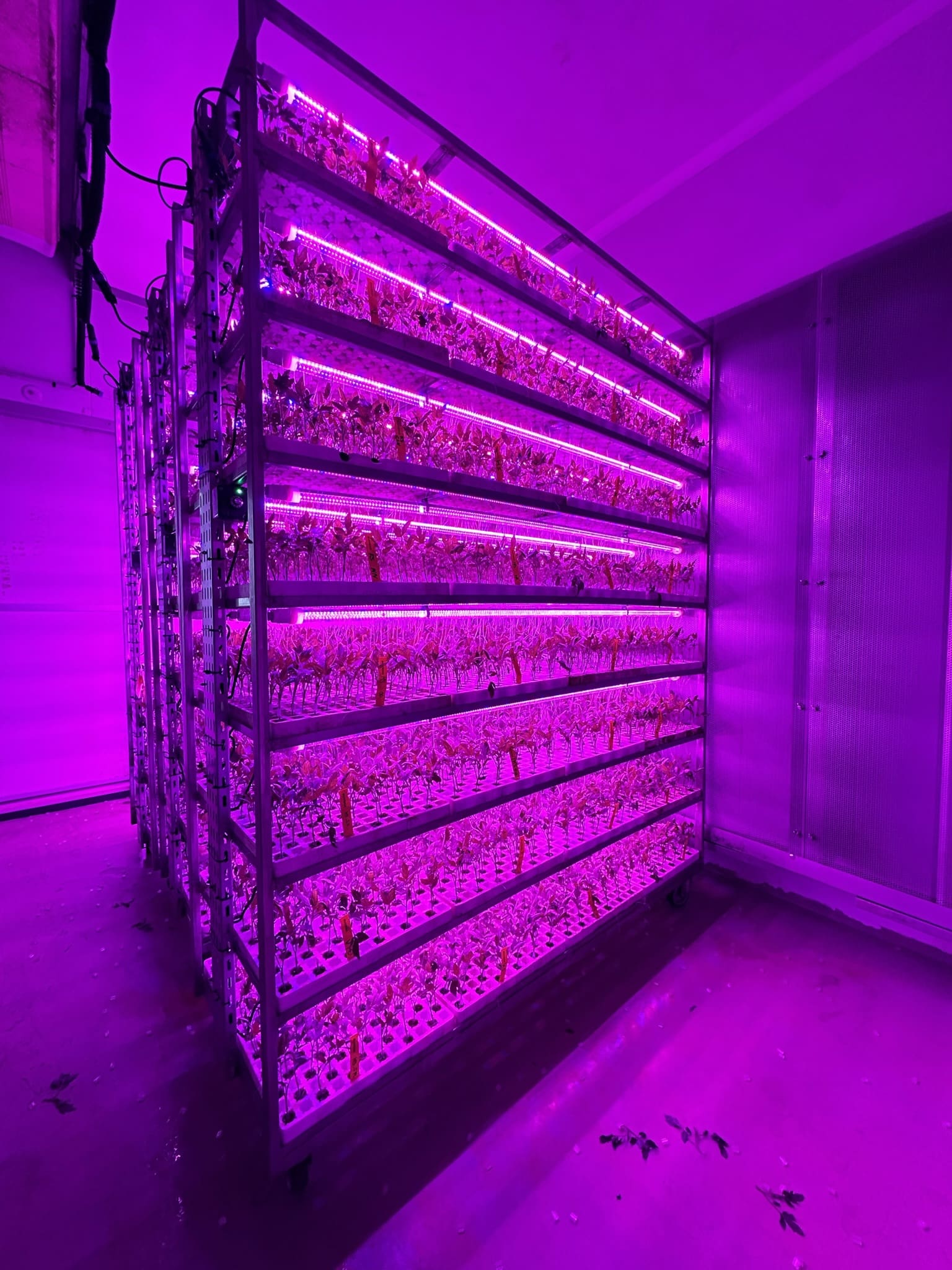 indoor-farming-1